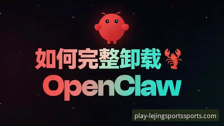 乐竞体育平台电脑版对比与使用完整指南